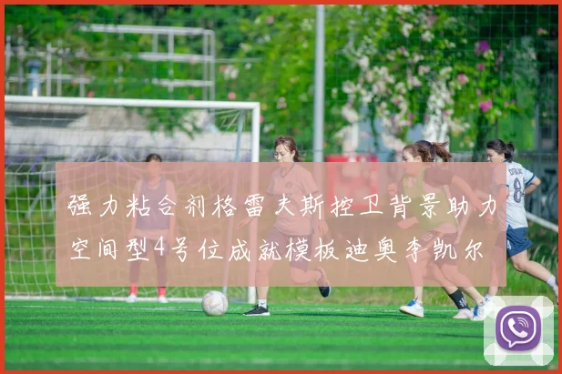 强力粘合剂格雷夫斯控卫背景助力空间型4号位成就模板迪奥李凯尔