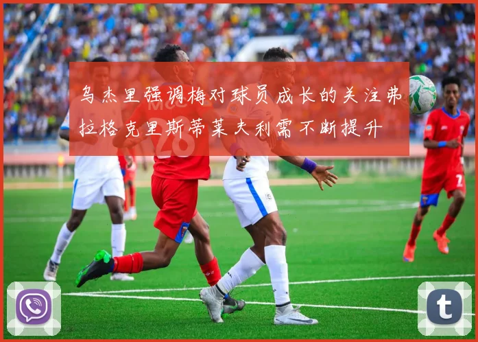乌杰里强调梅对球员成长的关注弗拉格克里斯蒂莱夫利需不断提升